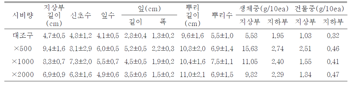 시비량 처리가 패랭이꽃(제주)의 발아 및 생육에 미치는 영향