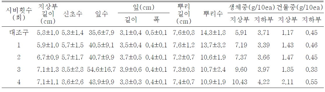 시비횟수 처리가 패랭이꽃(제주)의 발아 및 생육에 미치는 영향