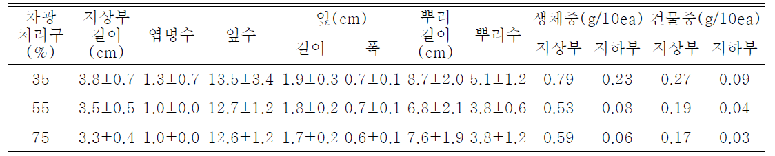 차광처리가 산철쭉(제주)의 발아 및 생육에 미치는 영향