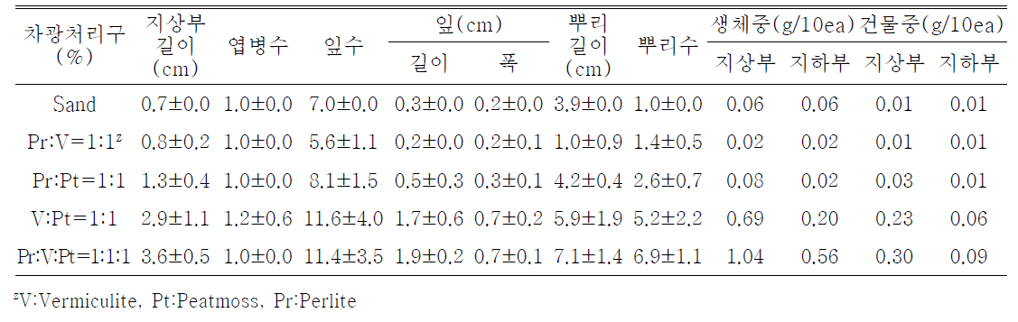 플러그 트레이 용토가 산철쭉(제주)의 발아 및 생육에 미치는 영향