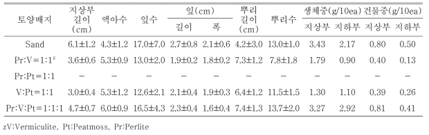 플러그 트레이 용토가 한라노루오줌 발아 및 생육에 미치는 영향