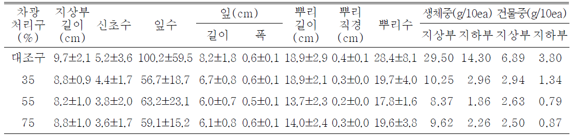 포트 육묘시 차광처리가 술패랭이(왜성)의 생육에 미치는 영향