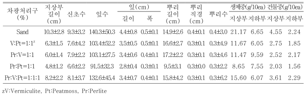 포트 육묘시 용토가 패랭이꽃(제주)의 생육에 미치는 영향