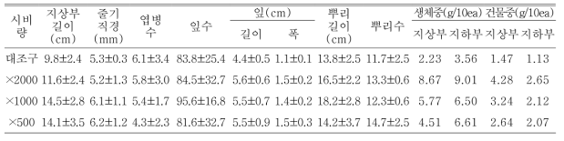 포트 육묘시 시비처리가 털진달래의 생육에 미치는 영향