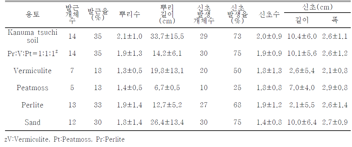 제주상사화 인편 번식시 치상 용토가 신초 및 뿌리 생육에 미치는 영향