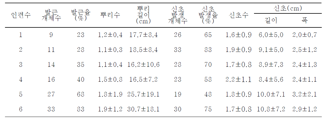 제주상사화 인편 번식시 인편수가 신초 및 뿌리 생육에 미치는 영향