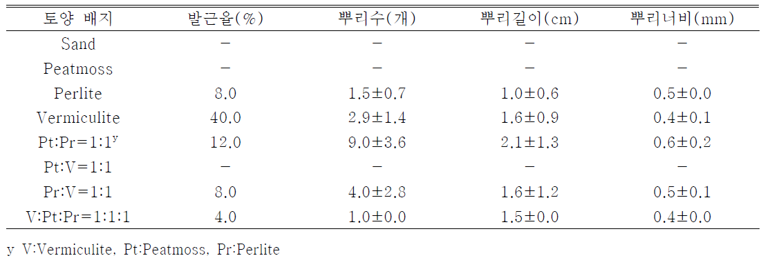 참빗살나무 삽목시 용토가 발근에 미치는 영향