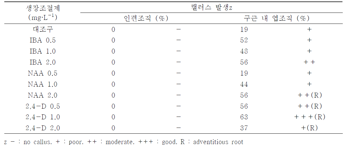 기내배양시 생장조절제 종류 및 농도처리가 제주상사화의 캘러스 형성에 미치는 영향