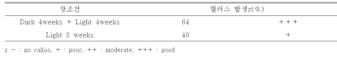 기내배양시 광조건이 제주상사화의 캘러스 형성에 미치는 영향