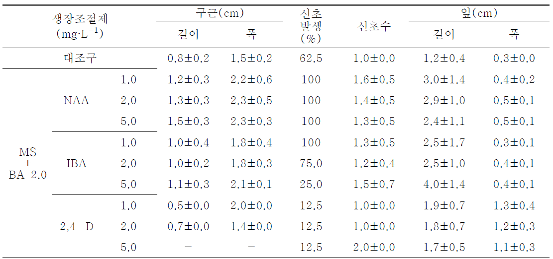 기내경정배양시 생장조절제 종류 및 농도처리가 제주상사화의 생장에 미치는 영향