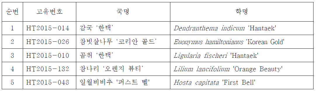 품종보호 및 특허 출원한 식물