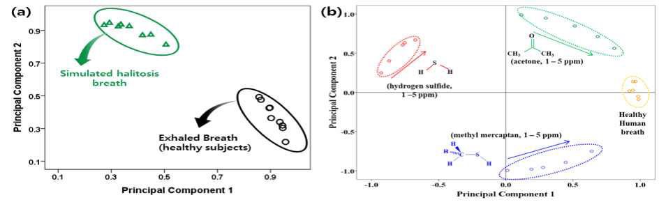 (a) 실제 날숨과 황화수소 1ppm 포함된 구취 모의가스를 센서 어레이로 구분한 패턴 분석 결과, (b) 실제 날숨과 황화수소, 아세톤, 메틸머르캅탄 가스를 (1-5ppm) 구분한 패턴 분석 결과