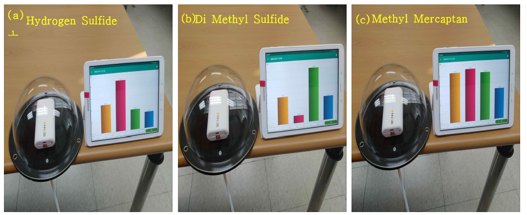 (a) 황화수소 감지 결과, (b) 디메틸설파이드 감지 결과, (C)메틸머캅탄 감지 결과