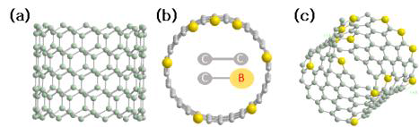 (a) 순수 CNT 구조, (b) boron이 무작위로 도핑된 CNT 단면 및 (c) 측면 구조