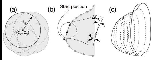 유방 외형의 모델링: (a) axial plane 모델, (b) sagittal plane 모델, (c) axial plane과 sagittal plane의 조합을 통해 획득된 3차원 볼륨