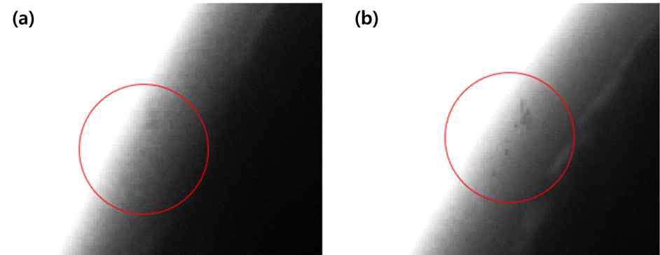 유방팬텀에 부착된 직경 0.2mm 지르코니아 입자 투사 영상 (a) 기존 엑스선 튜브로 촬영된 투사영상 (b) 초점크기가 개선된 엑스선 튜브로 촬영된 투사영상