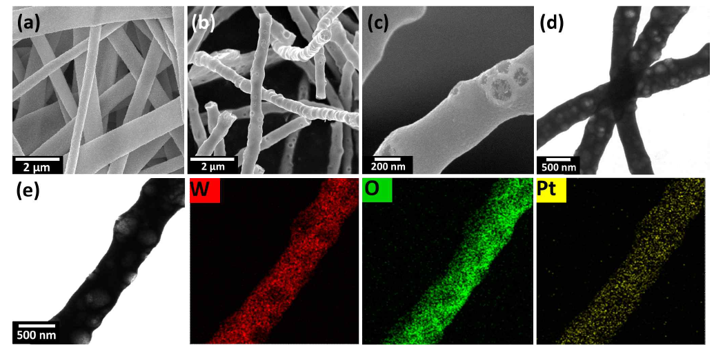 (a) Pt 촉매가 균일하게 분산된 템플레이트를 활용하지 않고 제작된 치밀한 구조의 텅스텐산화물 나노섬유의 주사전자 현미경 분석 이미지. (b) Pt 촉매가 균일하게 분산된 템플레이트를 활용하여 제작된 Pt 촉매가 결착된 다공성 텅스텐산화물 나노섬유의 주사전자 현미경 분석 이미지. (c) Pt 촉매가 균일하게 분산된 템플레이트를 활용하여 제작된 Pt 촉매가 결착된 다공성 텅스텐산화물 나노섬유의 주사전자 현미경 확대 이미지. (d) Pt 촉매가 균일하게 분산된 템플레이트를 활용하여 제작된 Pt 촉매가 결착된 다공성 텅스텐산화물 나노섬유의 투과전자 현미경 분석 이미지. (e) 투과전자 현미경 이미지 및 에너지분산형 X-ray 분광분석법을 이용한 Pt 촉매가 결착된 다공성 텅스텐산화물 나노섬유의 원자 성분 분석