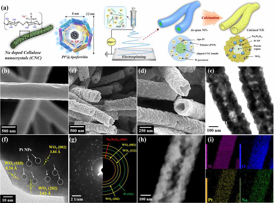 (a) 나노셀룰로오스 및 아포페리틴 복합 바이오 템플릿을 활용한 전기방사기법을 통해 복합 촉매가 기능화된 텅스텐산화물 감지소재 합성 모식도, 복합 촉매가 기능화된 텅스텐산화물 감지소재의 (b) 열처리 전 주사전자현미경 이미지, (c-d) 열처리 이후 주사전자현미경 이미지, (e-f) 투과전자현미경 이미지, (g) 전자회절 이미지, (h) 주사투과전자현미경 이미지, (i) EDS mapping 이미지