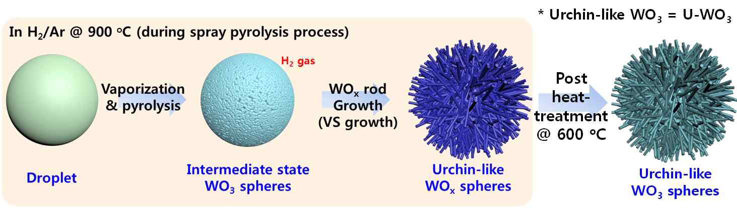열분무과정 및 후 열처리를 통해 제작한 성게모양의 텅스텐 산화물구조체의 모식도