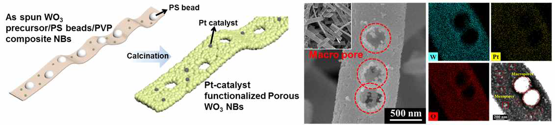다공성 텅스텐 산화물 나노벨트 형성 모식도 및 SEM, TEM 분석 결과