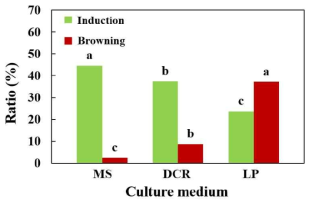 Effect of the culture medium on callus induction and callus browning (%) in Abies koreana after 4 weeks of culture. Values represent the mean of 3 replications, and different letters indicate mean separation within columns by the Duncan’s multiple range test at 5% level