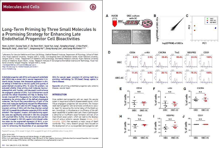 3F 장기 priming에 의한 혈관줄기세포 유전자 및 마커 발현 변화 분석