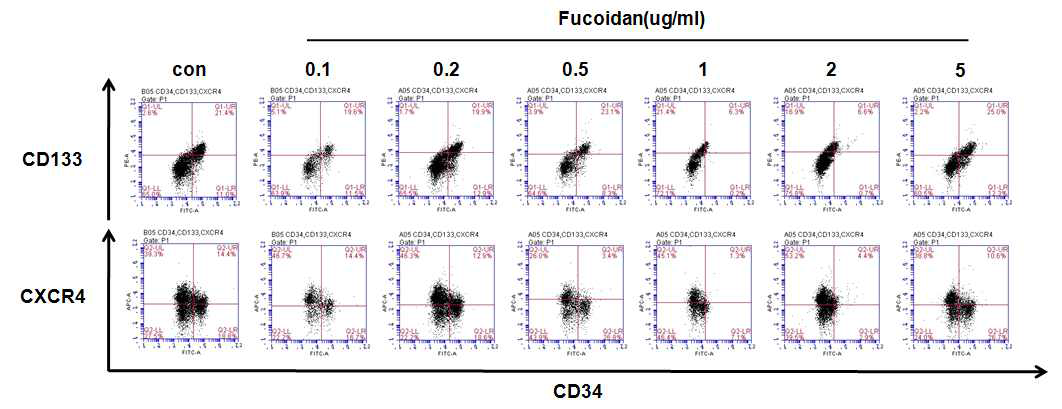 Fucoidan 농도별 처리 후 혈관줄기세포의 마커 발현 분석
