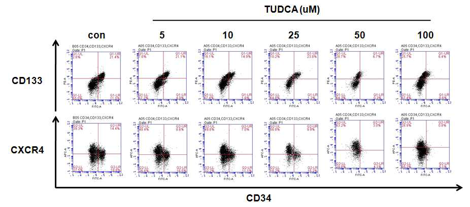 TUDCA 농도별 처리 후 혈관줄기세포의 마커 발현 분석