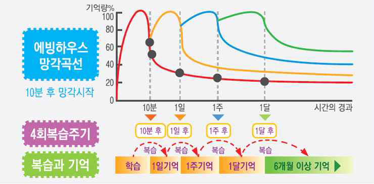 망각 곡선