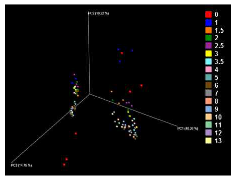 막걸리 발효 단계 별 세균 군집 PCoA (weighted UniFrac)