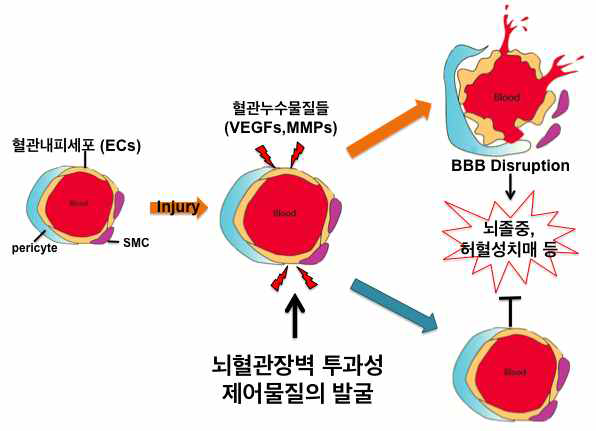 연구개념도