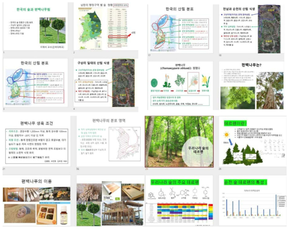 순천 편백나무숲의 생태적 이해를 위한 주민 교육자료