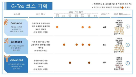 G-tox 코스 기획안