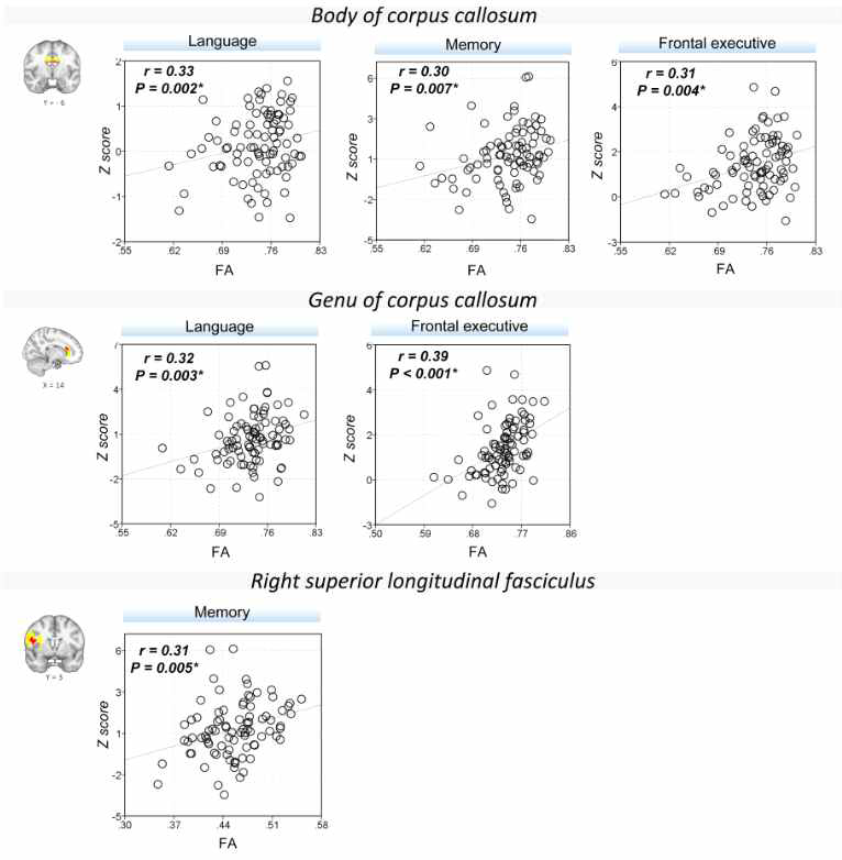 Correlation between FA values and cognitive performances in SuperAger