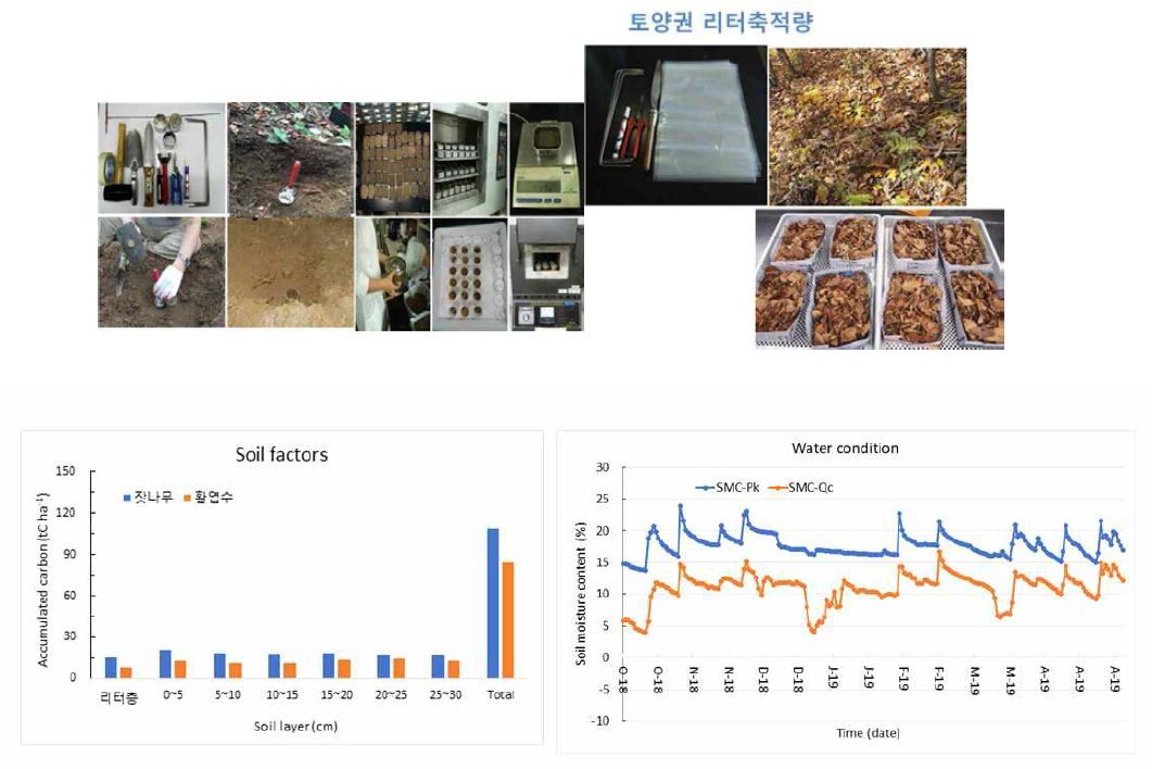 탄소축적량 변화 및 토양수분 변화 측정 그래프 (청양 잣나무림 및 굴참나무림의 비교 사례)