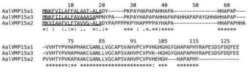 Alignment of amino acid sequences of AalCP15a1, AalCP15a2 and AalCP15a3. ClustalW software was used to align amino acid sequences. Symbols below the amino acid sequences indicate identical (*), highly conserved (:) and conserved residues (.). The underlines indicate predicted secretion signal peptides. All proteins show a high composition of alanine, histidine and proline