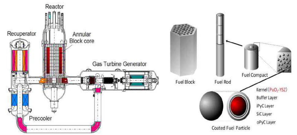 GTHTR300 (좌) 개념도 (우) 핵연료 개념도