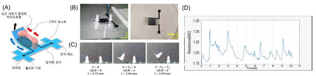 바이오심근 수축력 측정을 위한 2-포스트 구조체 설계 (A) 상기 시스템 모식도, (B) 3차원 프린팅 기술을 이용한 2-포스트 구조체 제작 과정, (C) 봉합사를 이용한 센서 검증, (D) 센서 변형에 따른 실시간 저항 측정 결과