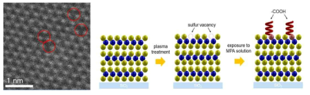 Cs-STEM을 이용한 sulfur vacancy 확인 및 MoS2 필름을 효율적, 안정적으로 기능화하는 개략도