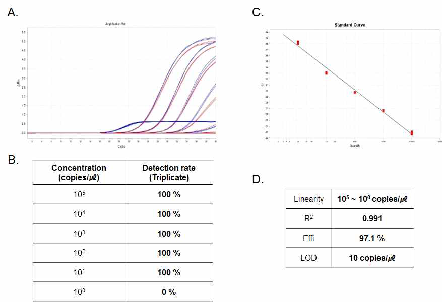 뎅기 바이러스 Real-time PCR kit의 직선성 및 검출한계. (A) Amplification plot. (B) 각 농도별로 3반복 실험한 검출률. (C) Standard curve. (D) Standard curve를 통해 분석된 성능