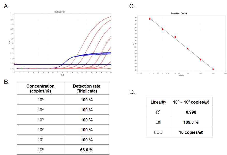 치쿤구니아 바이러스 Real-time PCR kit의 직선성 및 검출한계. (A) Amplification plot. (B) 각 농도별로 3반복 실험한 검출률. (C) Standard curve. (D) Standard curve를 통해 분석된 성능