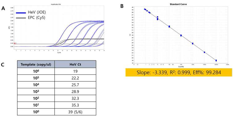 헨드라 바이러스 Real-time PCR kit의 직선성 및 검출한계. (A) Amplification plot. (B) 각 농도별로 3반복 실험한 Standard curve. (C) Standard curve를 통해 분석된 성능