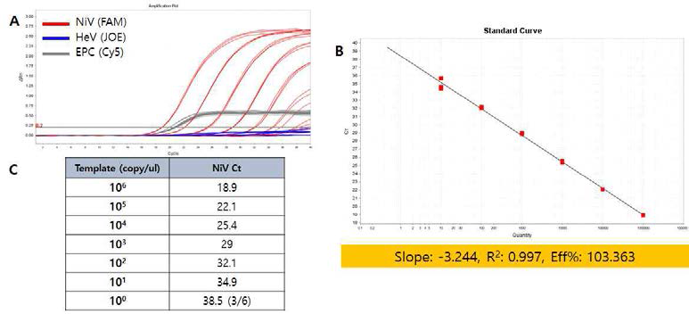 니파 바이러스 Real-time PCR kit의 직선성 및 검출한계. (A) Amplification plot. (B) 각 농도별로 3반복 실험한 Standard curve. (C) Standard curve를 통해 분석된 성능
