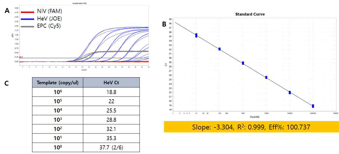 헨드라 바이러스 Real-time PCR kit의 직선성 및 검출한계. (A) Amplification plot. (B) 각 농도별로 3반복 실험한 Standard curve. (C) Standard curve를 통해 분석된 성능