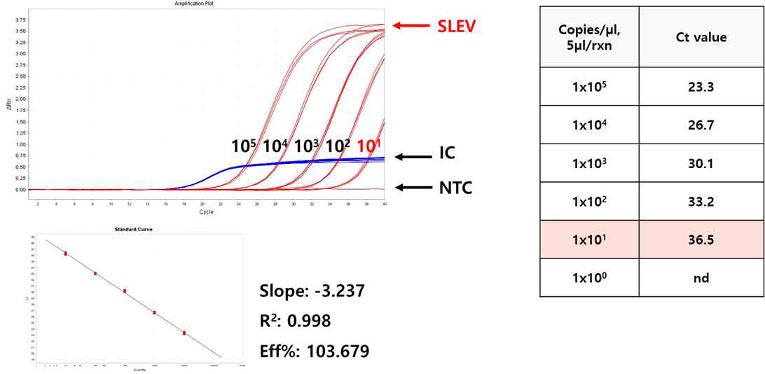 세인트 루이스 뇌염 바이러스 Real-time PCR kit의 직선성 및 검출한계. (A) Amplification plot. (B) 각 농도별로 3반복 실험한 Standard curve. (C) Standard curve를 통해 분석된 성능