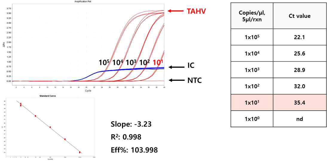 타히나열 바이러스 Real-time PCR kit의 직선성 및 검출한계. (A) Amplification plot. (B) 각 농도별로 3반복 실험한 Standard curve. (C) Standard curve를 통해 분석된 성능
