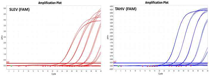 SLEV 및 TAHV 단일진단 시스템 PCR 진단키트의 최저 검출 한계점 분석