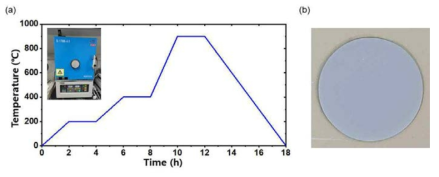 (a) Coin-type 양방향 에너지 소자의 유기물 연소 및 1차 소결 프로파일 (b) 1차 소결된 셀의 양상