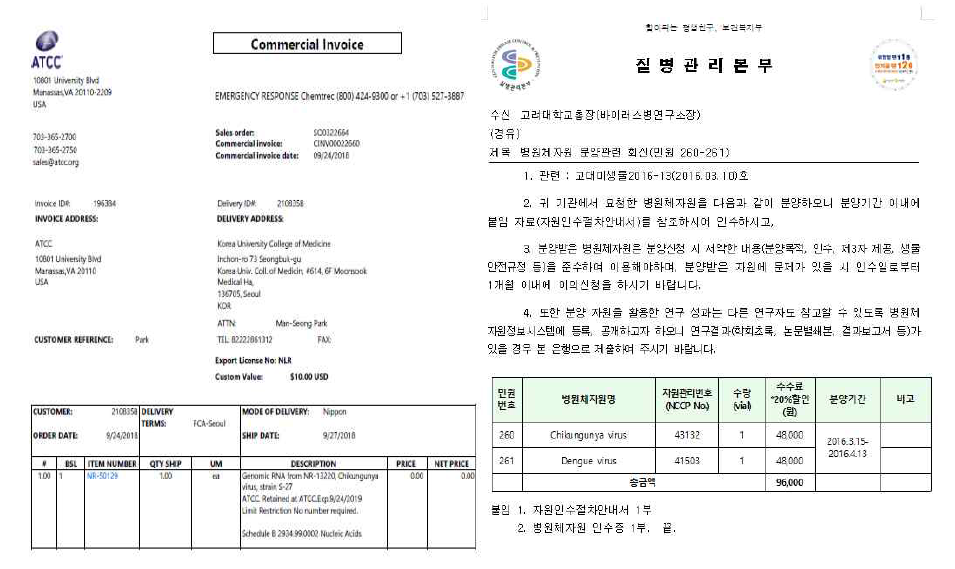 치쿤구니야 바이러스 핵산 및 바이러스 표준물질 확보