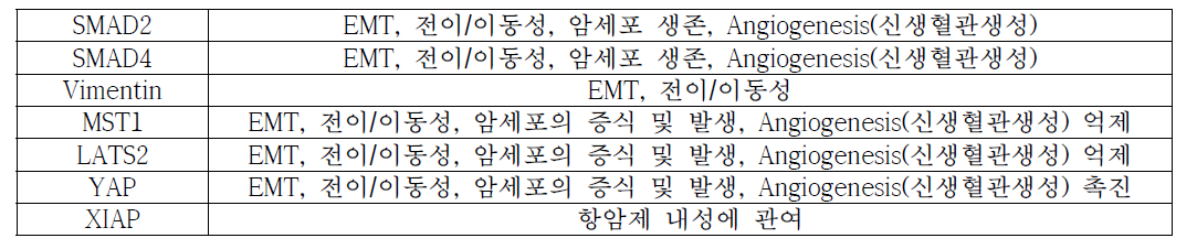 암세포에서 발굴한 신규 O-GlcNAc 수식화 단백질 및 그 기능별 분류